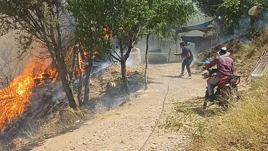 Malatya'nın Doğanyol ilçesinde orman yangını