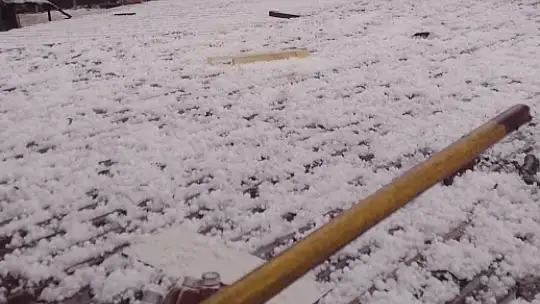 Mersin'de dolu: Ekili alanlar zarar gördü