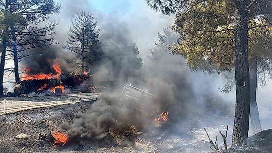 Mersin'de kaza sonrası araçlar alev aldı, yangın ormana sıçradı: 1 ölü, 2 yaralı