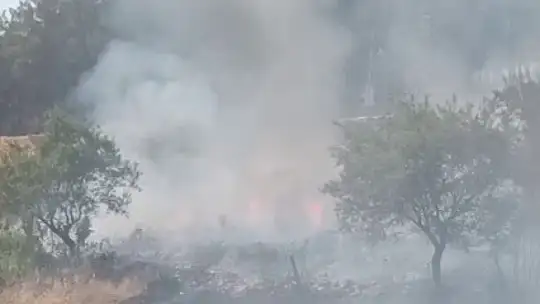Ormanlık alanda çıkan yangın korkuttu