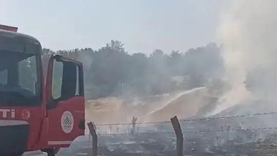 Ormanlık alanda çıkan yangın korkuttu