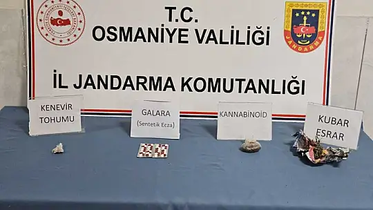 Osmaniye'de bir haftada 118 şüpheli yakalandı
