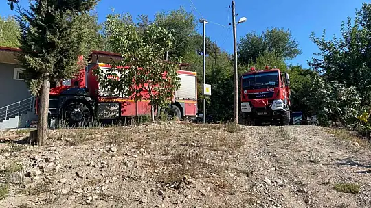 Osmaniye'de zeytinlik alanda çıkan yangın paniğe neden oldu