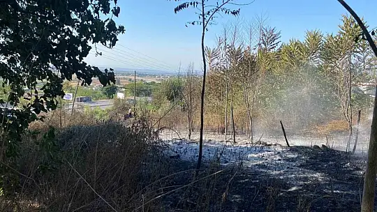 Osmaniye'de zeytinlik alanda çıkan yangın paniğe neden oldu