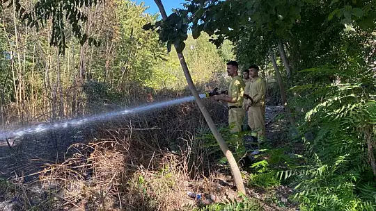 Osmaniye'de zeytinlik alanda çıkan yangın paniğe neden oldu