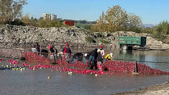 Osmaniye Kadirli'de turp mesaisi: Soğuk suda ekmek mücadelesi