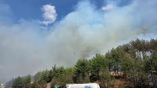Otoyolda yanan araç orman yangını çıkardı