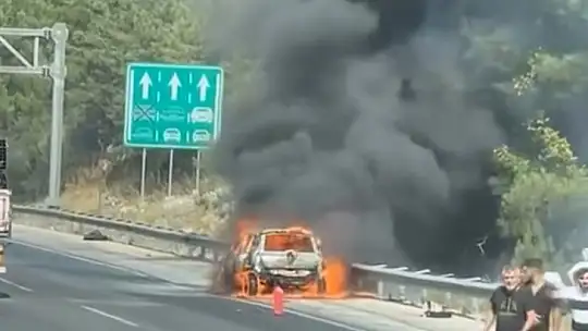Otoyolda yanan araç orman yangını çıkardı