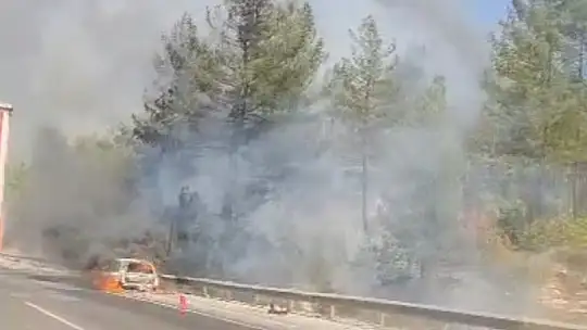 Otoyolda yanan araç orman yangını çıkardı