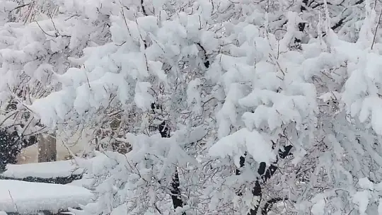 Pütürge'de kar kalınlığı 1 metreye yaklaştı