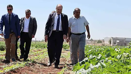 Şanlıurfa Büyükşehir Belediyesi Ata Tohumuna sahip çıkıyor