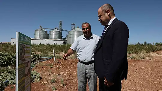 Şanlıurfa Büyükşehir Belediyesi Ata Tohumuna sahip çıkıyor