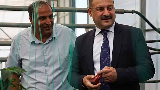 Şanlıurfa Büyükşehir Belediyesi Ata Tohumuna sahip çıkıyor