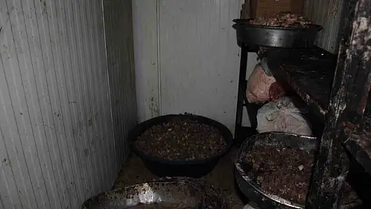 Şanlıurfa'da 1 ton bozuk et ele geçirdi