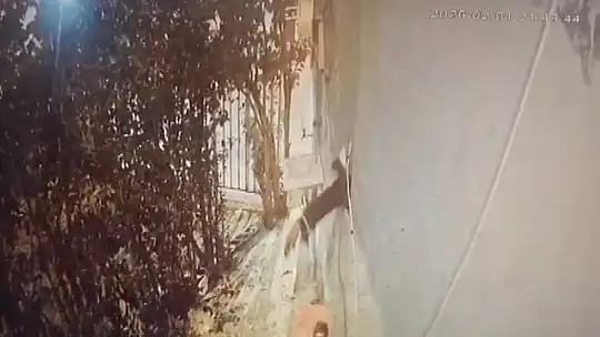 Şanlıurfa'da 100 bin lirayı çalan şüpheli kameraya yansıdı