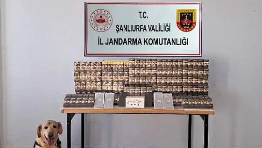 Şanlıurfa'da 5 bin 210 paket kaçak sigara ele geçirildi
