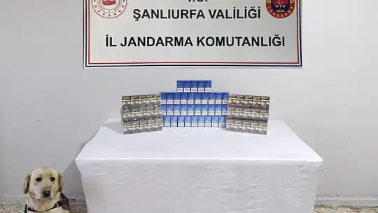 Şanlıurfa'da 980 paket gümrük kaçağı sigara ele geçirildi