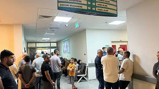 Şanlıurfa'da arazi kavgası: 2 ölü, 2 yaralı