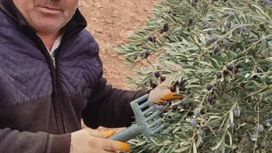 Şanlıurfa'da asansör faciası: Boşluğa düşen servis şoförü hayatını kaybetti