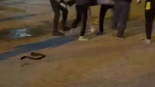 Şanlıurfa'da bıçaklı kavga: 3 yaralı