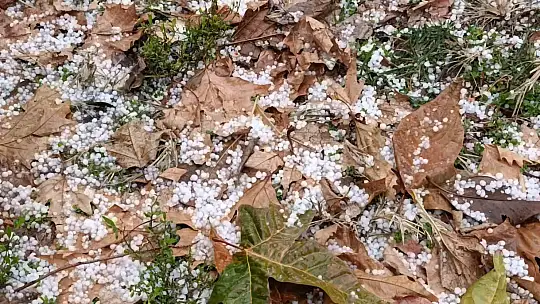 Şanlıurfa'da dolu yağışı sürücülere zor anlar yaşattı