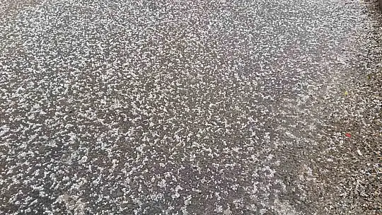 Şanlıurfa'da dolu yağışı sürücülere zor anlar yaşattı