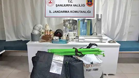 Şanlıurfa'da dron destekli uyuşturucu operasyonu: 9 gözaltı