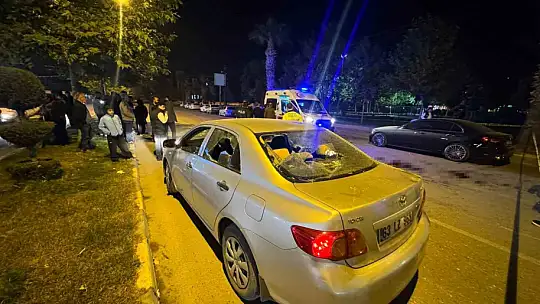 Şanlıurfa'da iki kardeş arasındaki arazi kavgasına çocukları da karıştı: 1'i ağır 4 yaralı