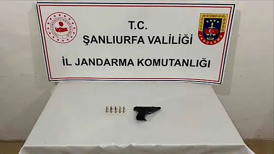 Şanlıurfa'da jandarma denetimi: 7 gözaltı
