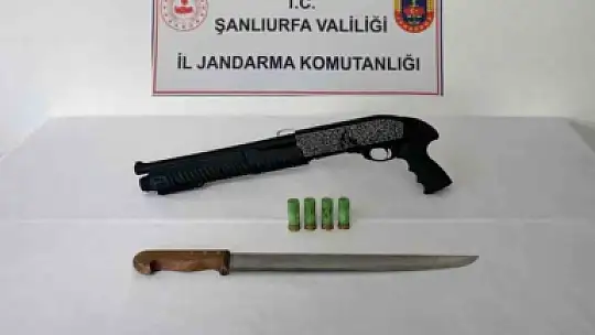 Şanlıurfa'da jandarma denetimi: 7 gözaltı