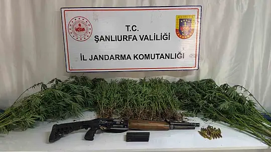 Şanlıurfa'da jandarmadan uyuşturucu operasyonu