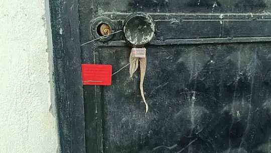 Şanlıurfa'da onlarca koli sahte zirai ilaç ele geçirildi