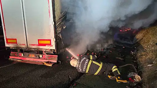Şanlıurfa'da salça yüklü tır alev alev yandı