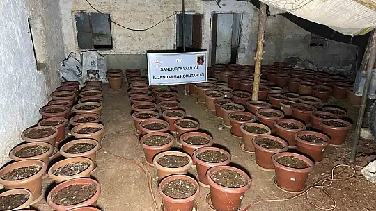 Şanlıurfa'da silah kaçakçılığı operasyonu: 7 gözaltı