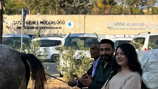 Şanlıurfa'da sıra dışı bir çeyiz taşıma merasimi