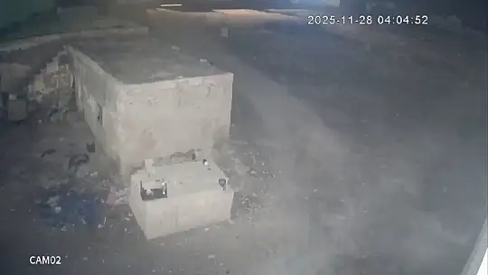 Şanlıurfa'da sırtlanlar tavuk kümesine girdi: Horoz ve tavukları çaldı