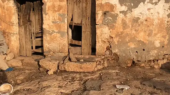 Şanlıurfa'da sırtlanlar tavuk kümesine girdi: Horoz ve tavukları çaldı