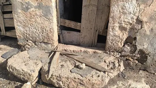 Şanlıurfa'da sırtlanlar tavuk kümesine girdi: Horoz ve tavukları çaldı