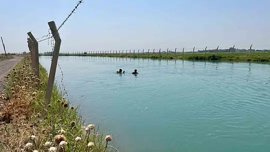 Şanlıurfa'da sulama kanalında kaybolan genç aranıyor