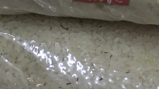 Şanlıurfa'da tonlarca bozuk gıda ürünü ele geçirildi