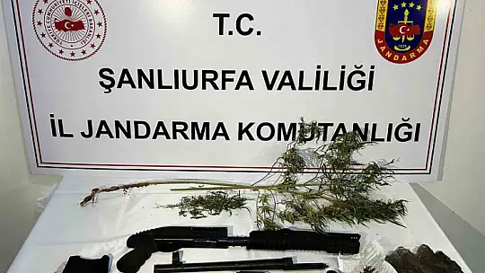 Şanlıurfa'da uyuşturucu operasyonu: 42 gözaltı