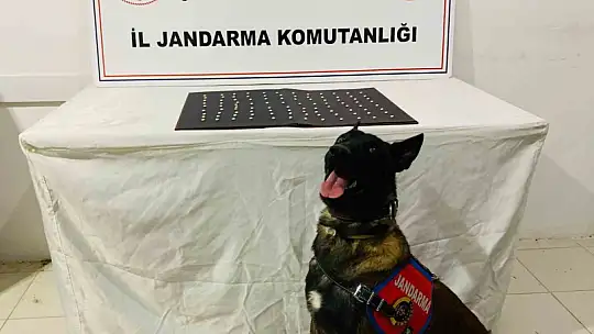 Şanlıurfa'da uyuşturucu operasyonu: 42 gözaltı