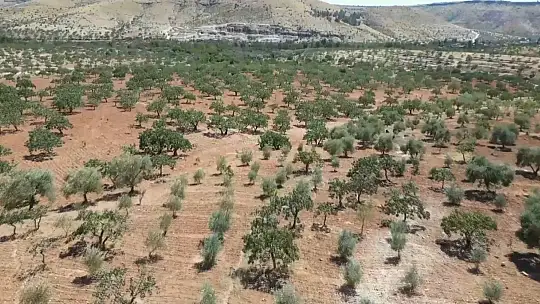Şanlıurfa'da yoğun kar yağışları çiftçinin yüzünü güldürdü