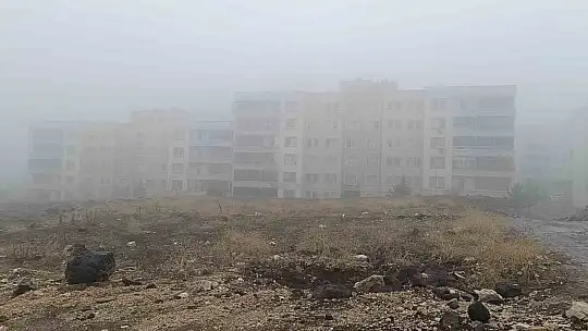 Şanlıurfa'da yoğun sis ve yağmur etkili oluyor