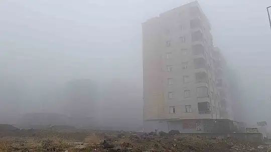 Şanlıurfa'da yoğun sis ve yağmur etkili oluyor