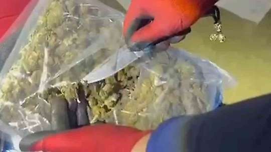 Yolcu otobüsünde 16 kilo 400 gram skunk ele geçirildi