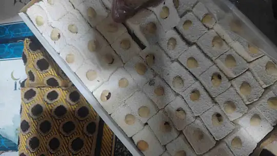 Şanlıurfa'da zabıtadan operasyon: Kurtlanmış ve bozulmuş ürünler ele geçirildi