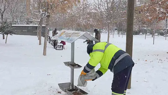 Şehitkamil sokak hayvanlarını unutmadı