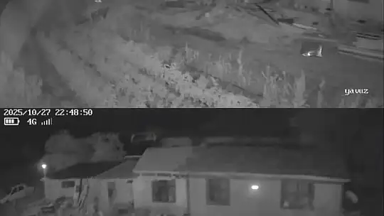 Sındırgı depreminde beşik gibi sallandı...O anlar kamerada