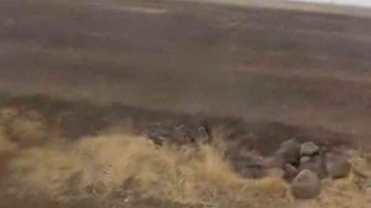 Siverek'te etkili olan fırtına, tarlada çalışan işçilere zor anlar yaşattı